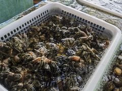 -湛江海鲜餐厅