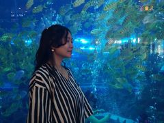 -成都浩海立方海洋公园