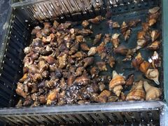 -好兄弟郭巨海鲜(天一阁店)