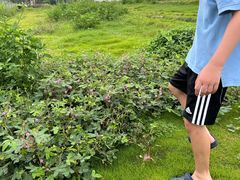 -风云岭森林公园