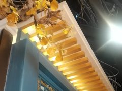 -京味斋·烤鸭·北京菜(安贞店)