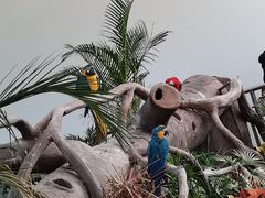 -无锡动物园·太湖欢乐园