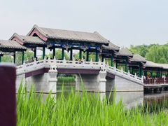 -西海子公园