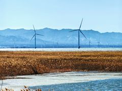 -野鸭湖国家湿地公园