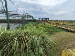-鄱阳湖国家湿地公园
