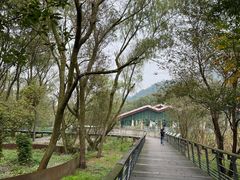 -西湖风景区-江洋畈生态公园