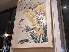 -花舍·新派粤菜·西餐·下午茶(亚运村·鸟巢店)