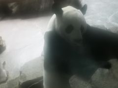 -济南野生动物世界
