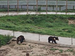 -青藏高原野生动物园