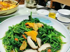 上汤浸桑叶-成惠食府(赤岗店)