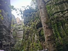 -梭布垭石林景区