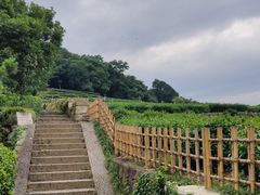 -中国茶叶博物馆(双峰馆区)