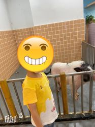 -Moni星球萌宠·小马宝莉·灵蛇·高端高阶全萌宠互动体验俱乐部(红豆国际广场店)
