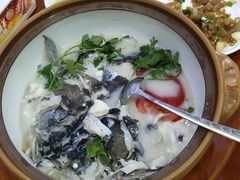 -全乐鱼馆·淳牌有机鱼直营店