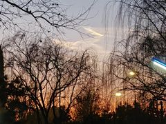 -黄村公园