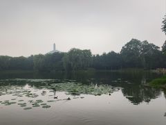 -北坞公园