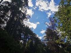 -苍山感通索道