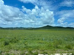 -乌兰布统草原