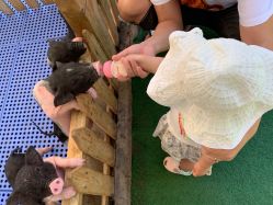 -萌宠亲子动物乐园(槐房万达店)