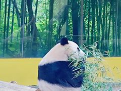 -杭州野生动物世界