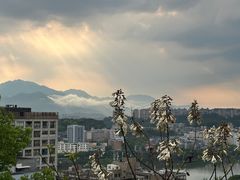 -福道