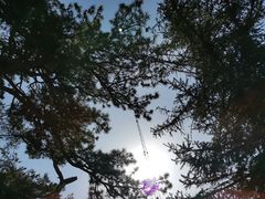 -妙峰山风景名胜区