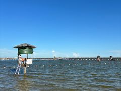 -碧海金沙