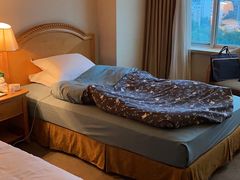 -南京维景国际大酒店(南京博物院店)