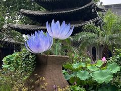 -钱王祠