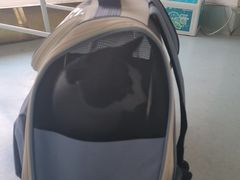 -汪喵宠物医院·骨科心脏影像·犬猫急重症ICU诊疗中心(成华分院)