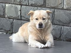 -荔园小馆(园岭新村二期店)