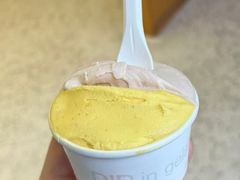 -Dip in Gelato(富民路店)