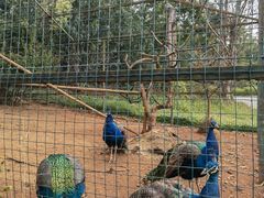 -阳光高尔夫俱乐部