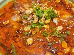 -陈麻婆豆腐总店