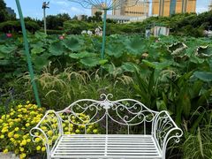 -龙环葡韵住宅式博物馆