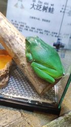 -酷嗒动物文化乐园(cutezoo西溪乐天城店)