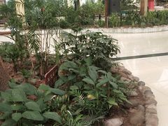 -陶然居·重庆菜(生态园店)