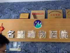 -瑞派名望志远动物医院·猫科·內科·异宠专科(直港大道店)