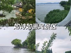 -苏州太湖国家湿地公园