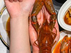 -新光酒家·河豚·海鲜·蟹料理(浦东店)