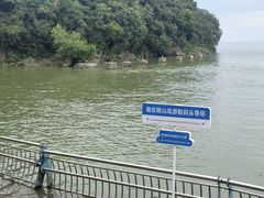 -巢湖姥山岛