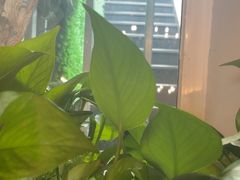 -69艺术餐厅(宋庄店)