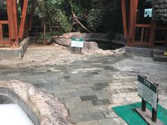 -龙达温泉生态城