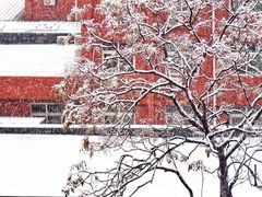 -九田家黑牛烤肉料理(万达店)