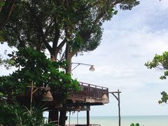 -卷心菜和避孕套餐厅(Pattaya)