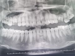 -牙博士口腔品牌连锁(杨浦店)