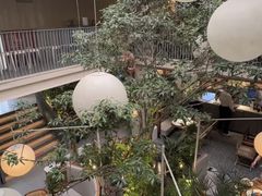 -馋嘴猫北京食堂·烤鸭·宵夜(亚运村店)