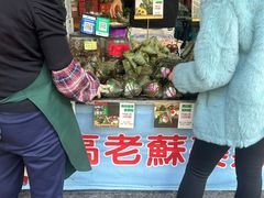 -鼎香皇高佬苏裹蒸粽