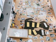 -爱妮康宠物医院·干细胞免疫细胞·肿瘤·心脏(张江店)