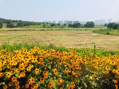 -西海岸生态观光园